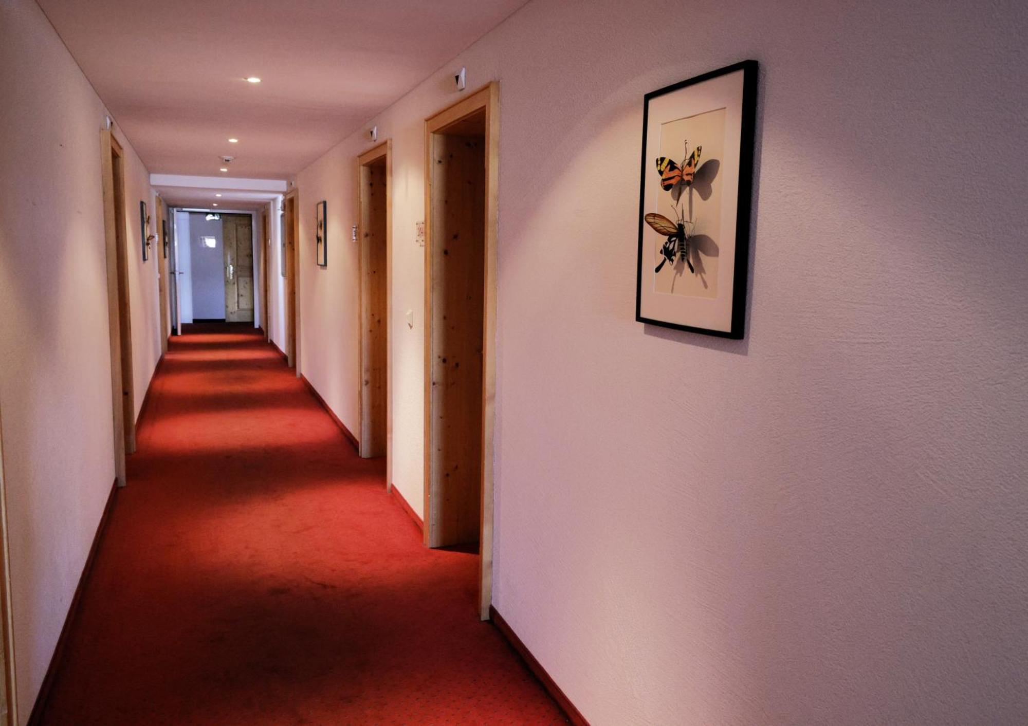 Hotel Alpina Парпан Экстерьер фото